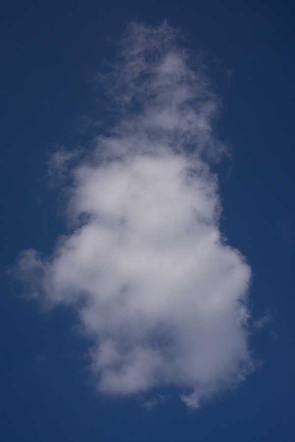 head cloud